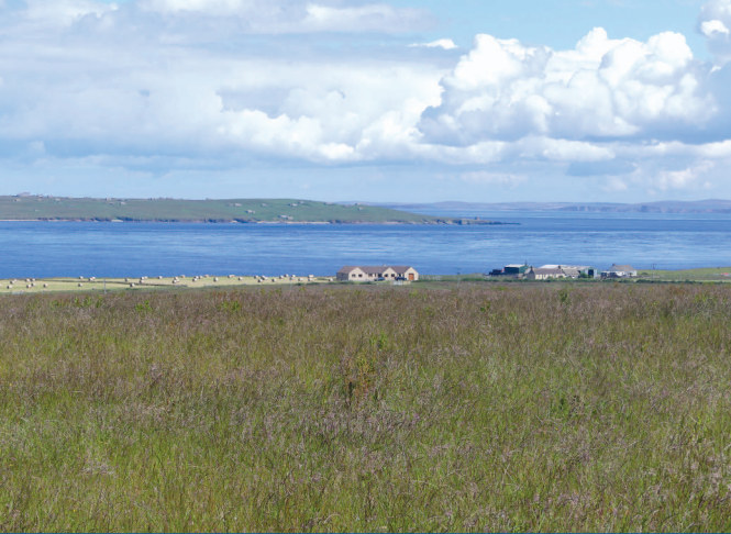 Mains Of Warse, Wick for sale - Building Photo - Image 1 of 1