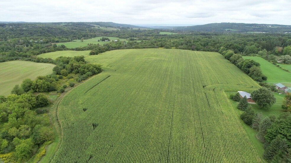 2349 Fenner Rd, Cazenovia, NY à vendre - Photo du bâtiment - Image 3 de 8