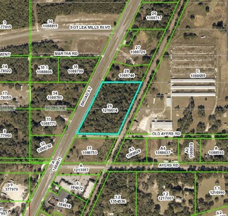 Plus de détails pour Broad Street & Old Ayers Rd, Brooksville, FL - Terrain à vendre