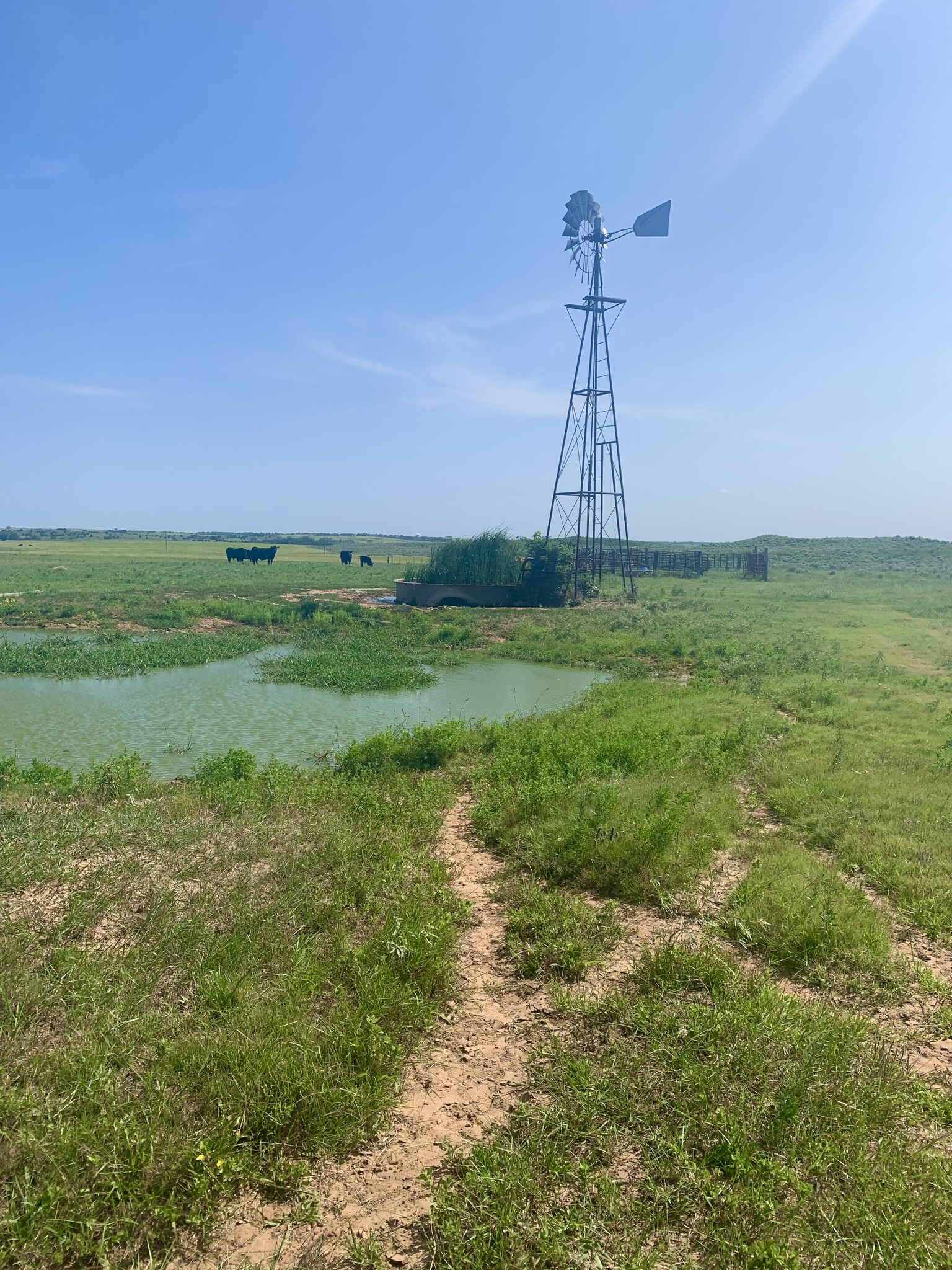 County Rd V, Mclean, TX à vendre Photo principale- Image 1 de 1