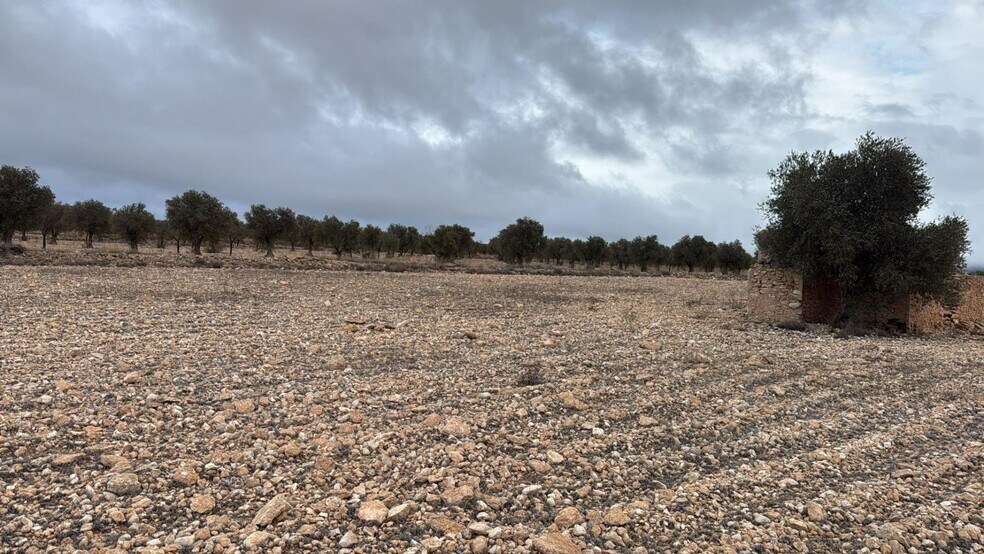 Land in Yecla, Murcia for sale - Site Plan - Image 2 of 7