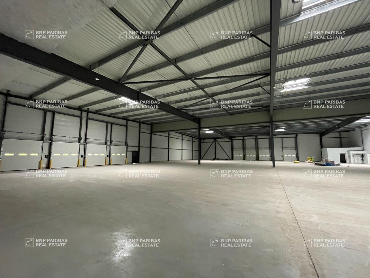 Flex in Toulouse for sale Interior Photo- Image 1 of 5