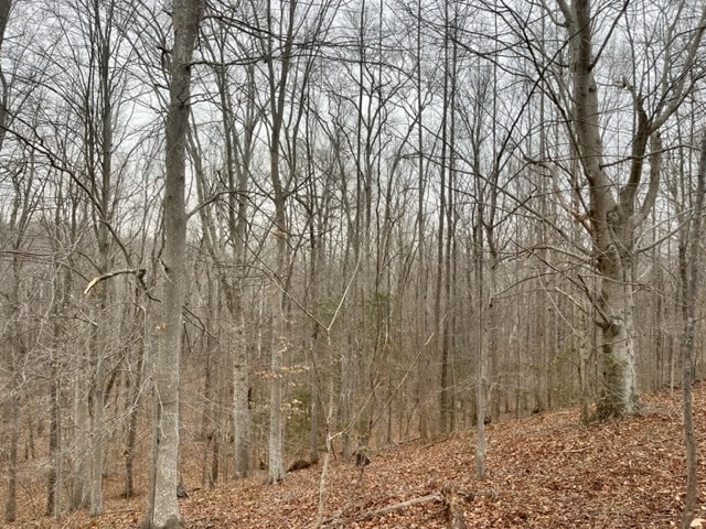 7585 Mason Springs Rd, La Plata, MD for sale - Other - Image 2 of 13