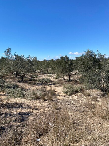 Land in Monforte del Cid, Alicante for sale - Site Plan - Image 2 of 2
