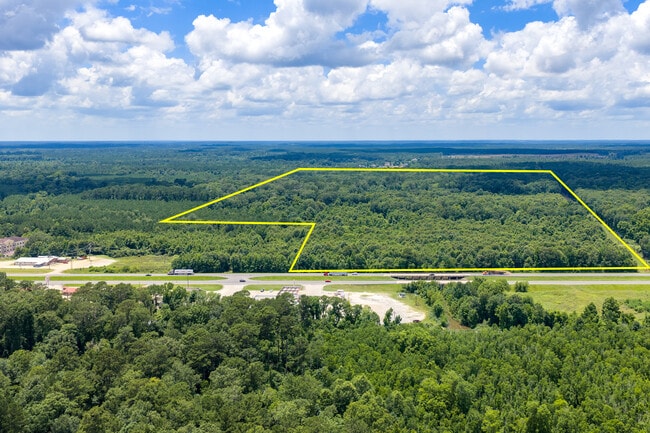Plus de détails pour 67 Acres Hwy 171, New Llano, LA - Terrain aux enchères
