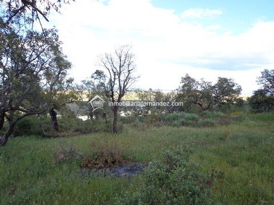 Terrain dans Sierra de Fuentes, Cáceres à vendre - Photo principale - Image 2 de 8