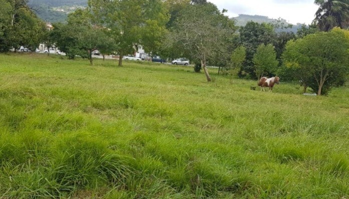 Calle Eloísa Fernández, 11A, Villaviciosa, Asturias à vendre - Autre - Image 3 de 3