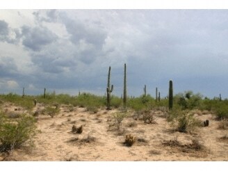 Cactus Forest Estates, Florence, AZ for sale - Building Photo - Image 2 of 5
