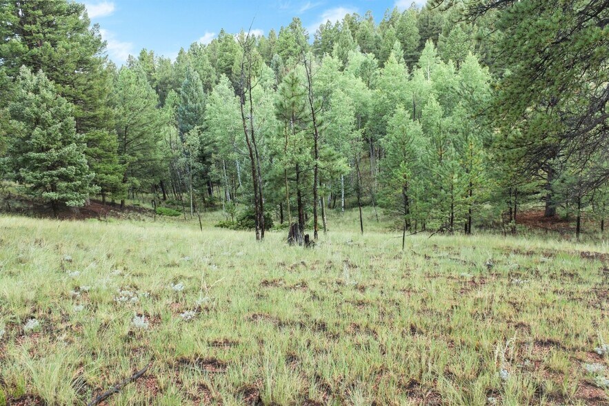 131 & 67 Lost Lake Cir, Divide, CO à vendre - Photo du bâtiment - Image 3 de 7