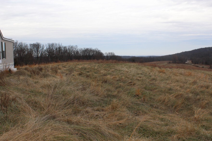 Bruce Johnson Rd, Herod, IL à vendre - Autre - Image 2 de 13