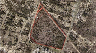More details for 0 HWY 321 hwy, Gaston, SC - Land for Sale