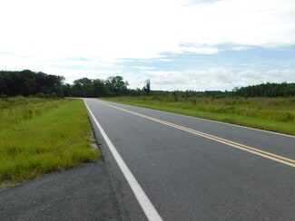 Plus de détails pour 0000 Bell, Lake City, FL - Terrain à vendre
