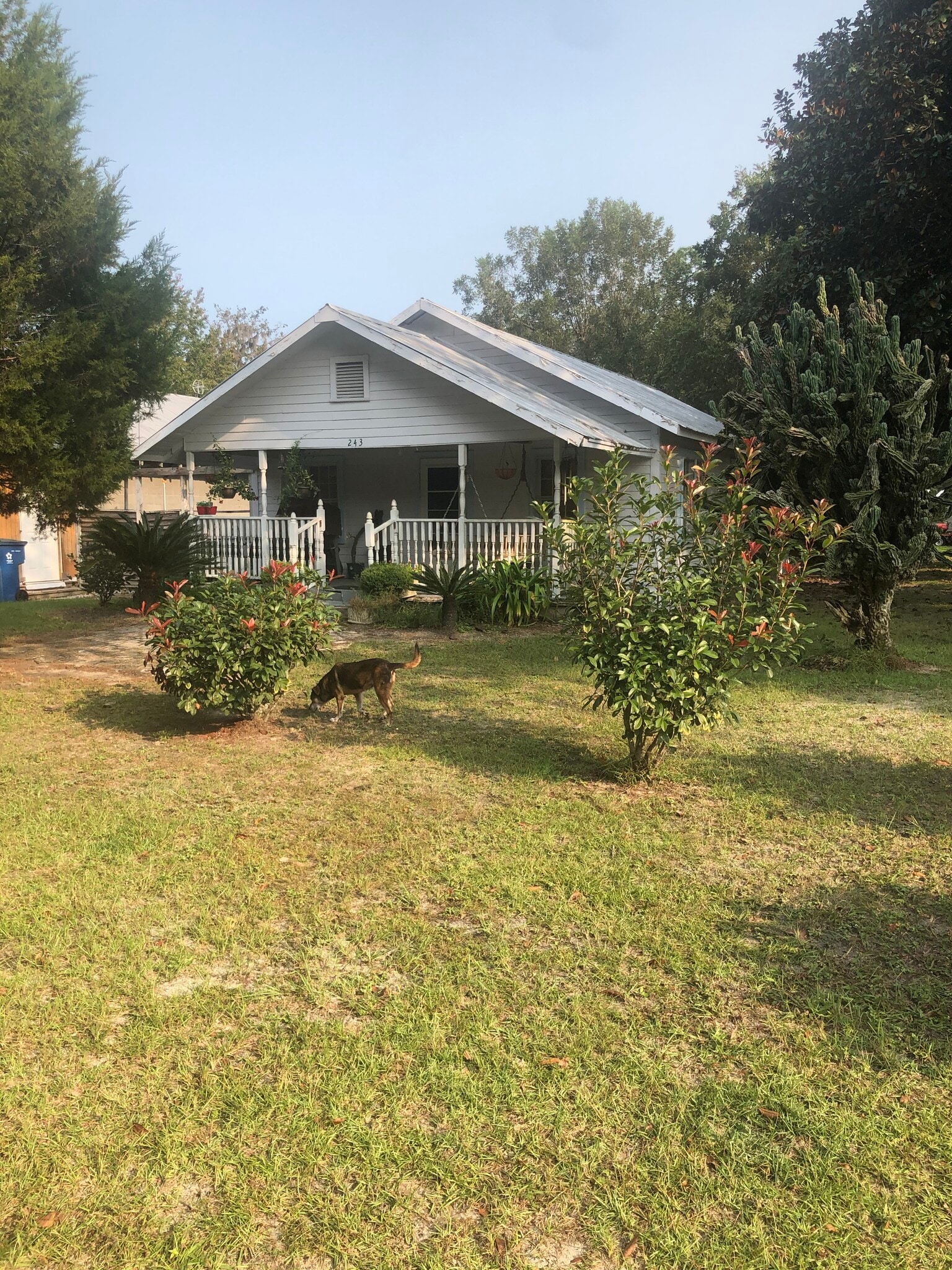 243 Ellabell Loop Rd, Ellabell, GA for lease Primary Photo- Image 1 of 9