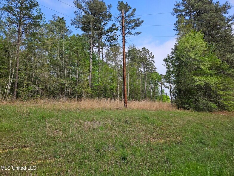 0 Hwy 43, Silver Creek, MS à vendre - Photo du bâtiment - Image 2 de 5