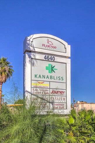 Plus de détails pour 4640 E Flamingo Rd, Las Vegas, NV - Vente au détail à vendre