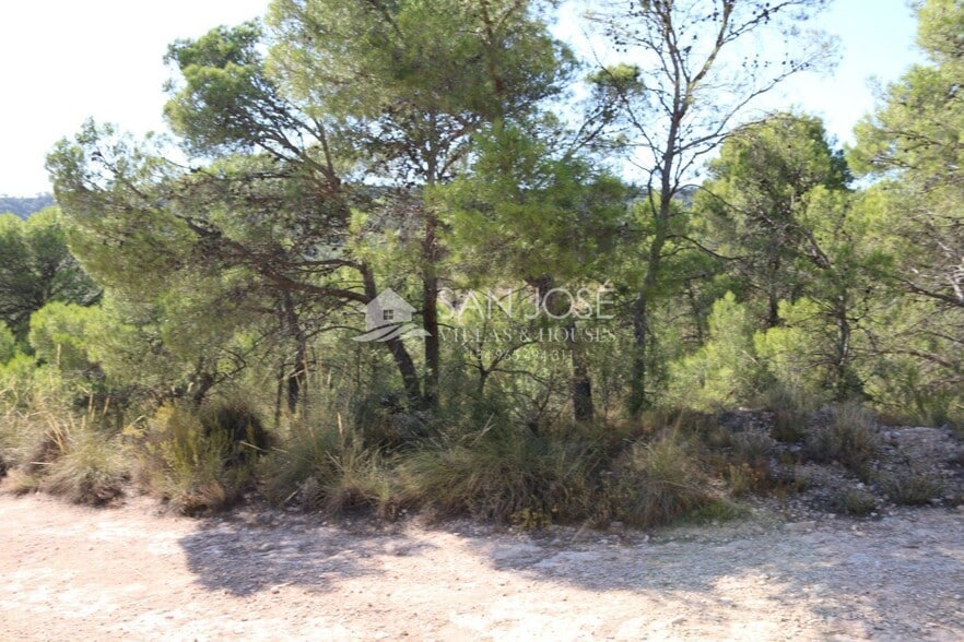 Terrain dans MONÒVER, Alicante à vendre - Photo principale - Image 2 de 23