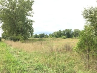 More details for Oakville Waltz Rd, Ash Twp, MI - Land for Sale
