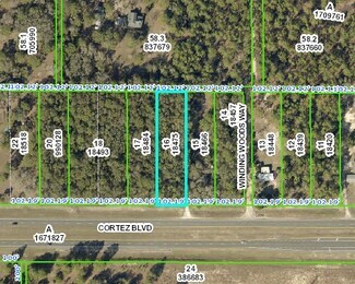 Plus de détails pour 0 Cortez Blvd, Weeki Wachee, FL - Terrain à vendre