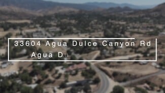 More details for 33604 Agua Dulce Canyon Rd, Agua Dulce, CA - Retail for Sale