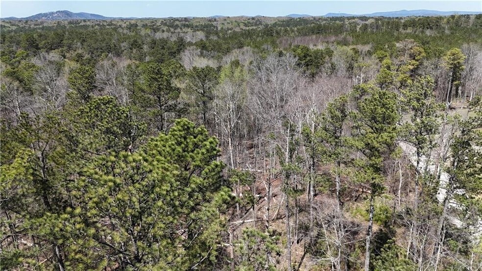 0 King Camp Rd, Acworth, GA à vendre - Photo du bâtiment - Image 2 de 12