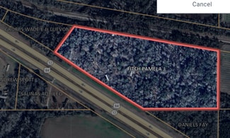 More details for 14677 U.S. 84 Hwy, Pansey, AL - Land for Sale
