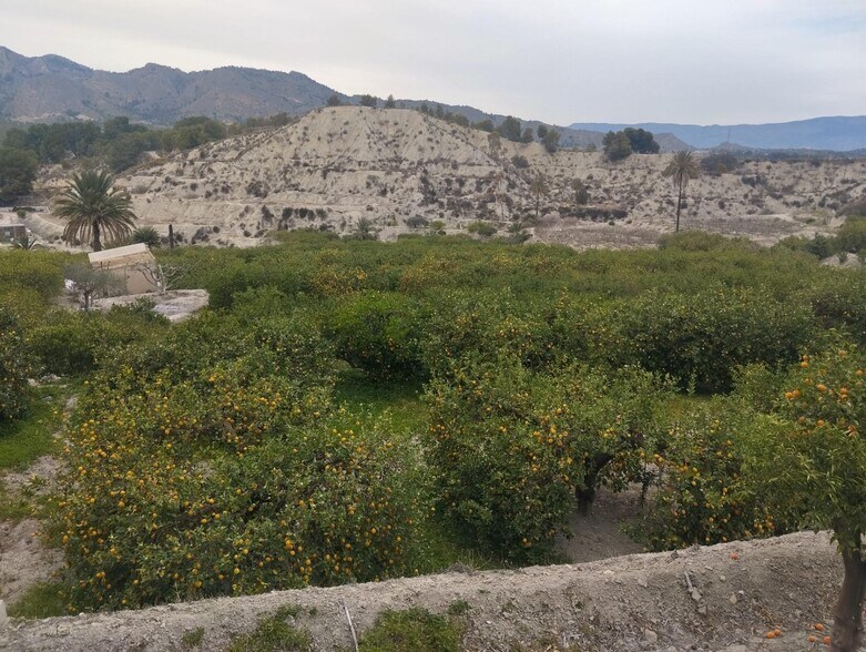 Terrain dans Ulea, Murcia à vendre - Aérien - Image 2 de 12
