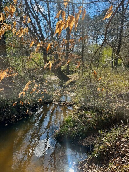 1188 Julius Bridge Rd, Ball Ground, GA à vendre - Photo du bâtiment - Image 2 de 5