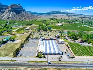 Plus de détails pour 1041 N River Rd, Palisade, CO - Industriel à vendre