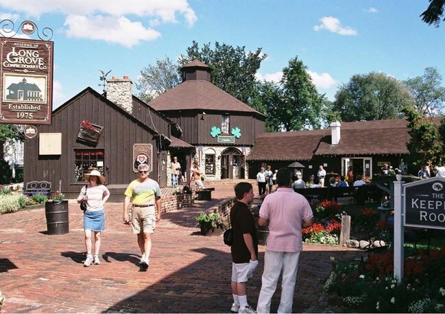 More details for 224-234 Robert Parker Coffin Rd, Long Grove, IL - Office, Retail for Lease