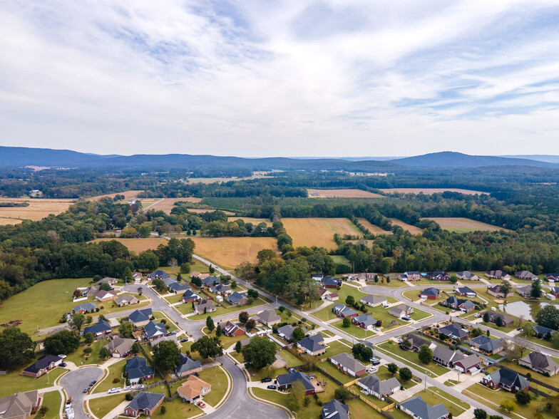 Wilson Mann Rd, Owens Cross Roads, AL à vendre - Photo principale - Image 1 de 1