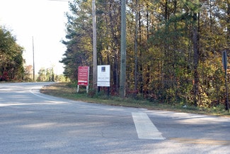 Plus de détails pour Mt Vernon Rd, Lithia Springs, GA - Terrain à vendre