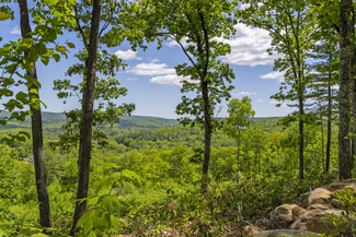 Plus de détails pour 13 Dew Rd, Barkhamsted, CT - Terrain à vendre