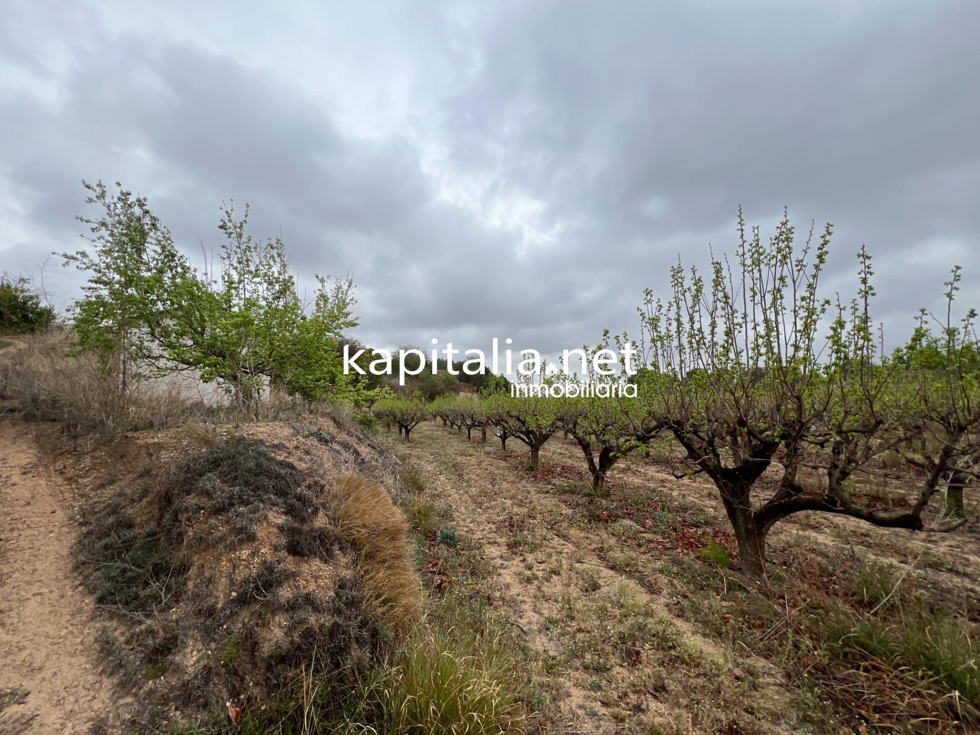 Land in Albaida, Valencia for sale Primary Photo- Image 1 of 4