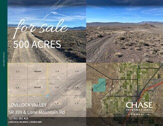 Plus de détails pour Lovelock Valley SR 399 & Lone Mountain Road, Lovelock, NV - Terrain à vendre