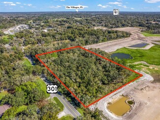 Plus de détails pour US HWY 301, Coleman, FL - Terrain à vendre