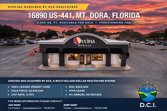 More details for 16890 Us-441 Hwy, Mount Dora, FL - Retail for Sale