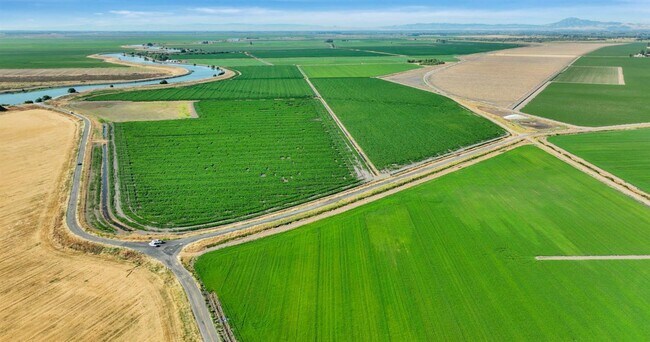 Plus de détails pour 19701 Tyler Island Rd, Walnut Grove, CA - Terrain à vendre