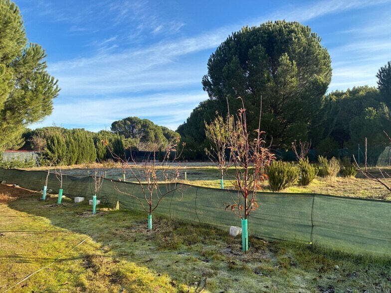 Lugar Común Viejo, 2, Aldeamayor de San Martín, Valladolid à vendre - Photo principale - Image 1 de 51