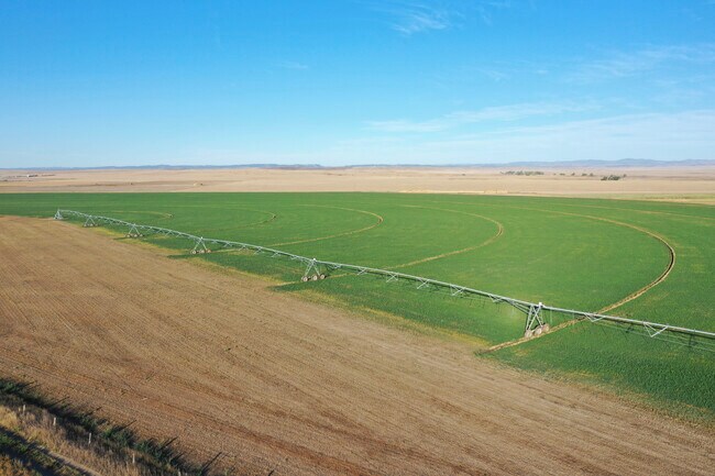 Plus de détails pour TBD Riverside Road, Buffalo Gap, SD - Terrain à vendre