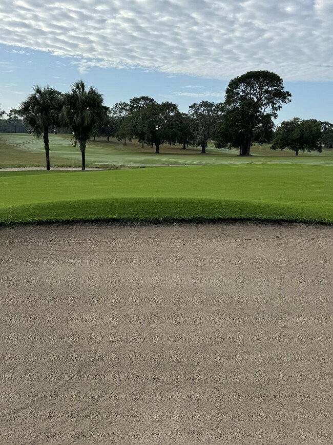 Plus de détails pour 20650 SW 80th Place Rd, Dunnellon, FL - Sports et divertissement à vendre