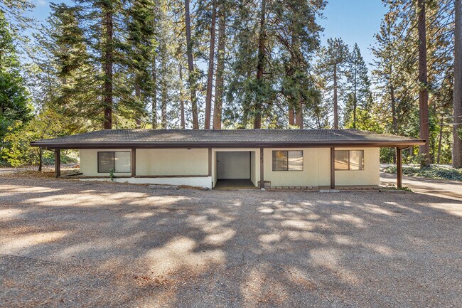 Plus de détails pour 5897 Pony Express Trl, Pollock Pines, CA - Bureau à vendre