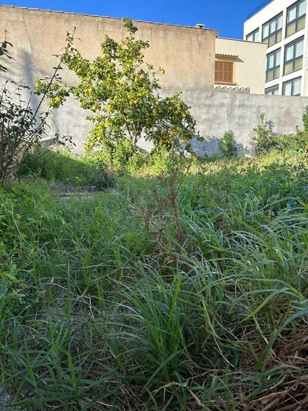 Land in Capdepera, Islas Baleares for sale - Building Photo - Image 2 of 5