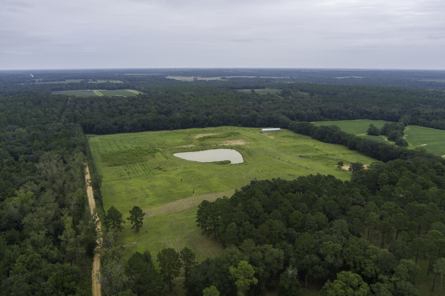 1136 Nesbitt Rd, Pavo, GA for sale - Building Photo - Image 3 of 67