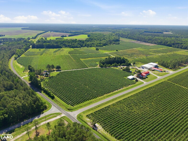 5478 Halfway Branch School rd, Ivanhoe, NC à vendre - Aérien - Image 3 de 30