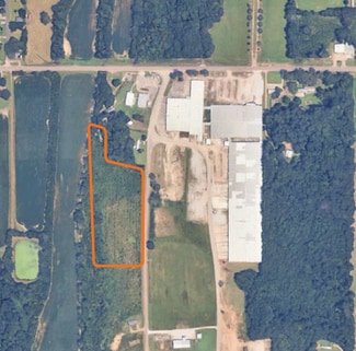 Plus de détails pour Peoplounger Rd, Nettleton, MS - Terrain à vendre