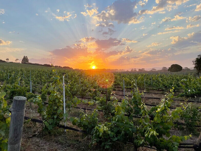 Biodynamic® Certified ±614 Acres portfolio of 2 properties for sale on LoopNet.ca - Building Photo - Image 1 of 15