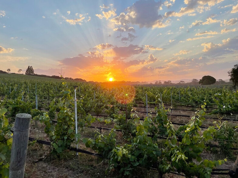 Biodynamic® Certified ±614 Acres portefeuille de 2 propriétés à vendre sur LoopNet.ca - Photo du bâtiment - Image 1 de 15