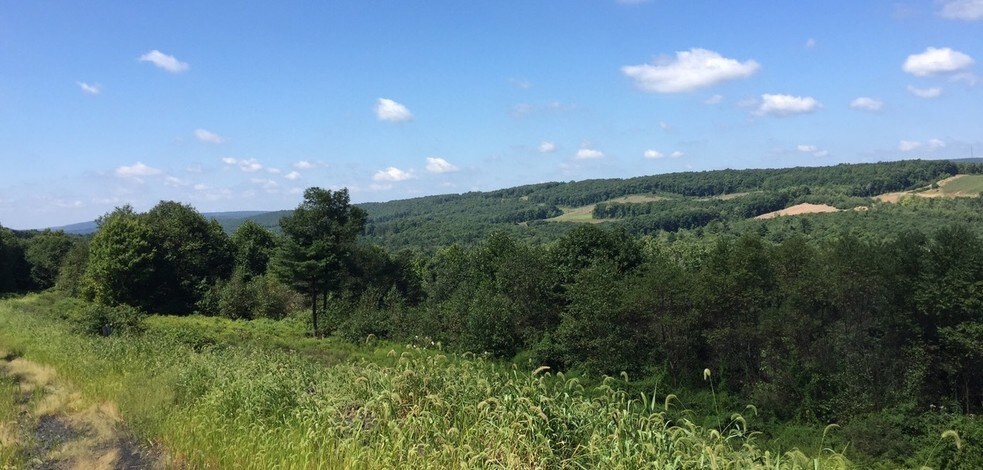 12 S Tremont Rd, Tremont, PA à louer - Photo principale - Image 3 de 28