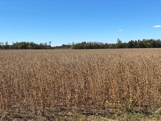 More details for 0 Griffin, South Prince George, VA - Land for Sale