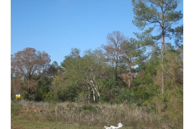 State Highway 249, Pinehurst, TX à louer - Photo du bâtiment - Image 3 de 8